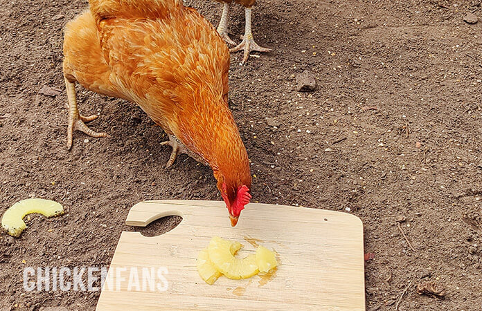 pineapple and chickens