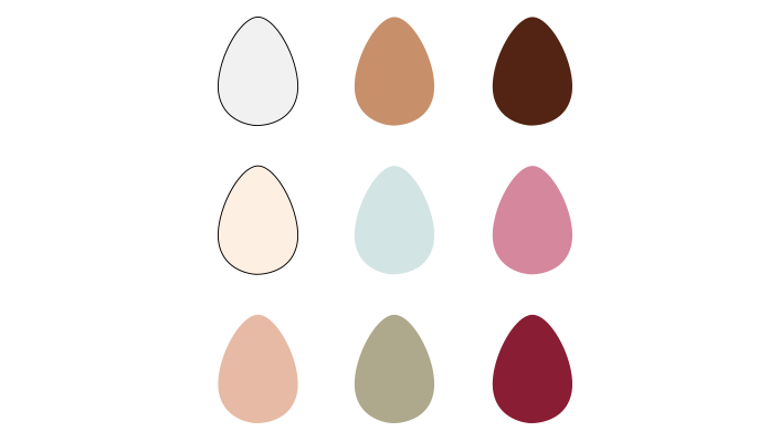 chicken eggs in different colors (white, cream, brown, light brown, blue, green, dark brown, pink, purple)