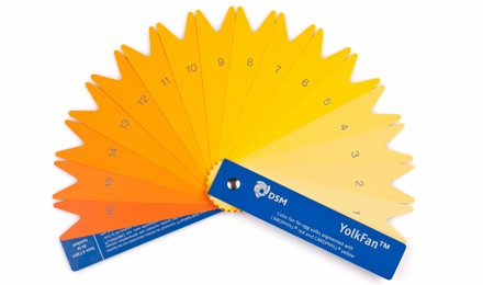 dsm egg yolk color fan