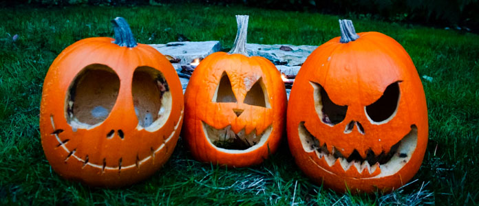 3 carved jack o' lantern pumpkins