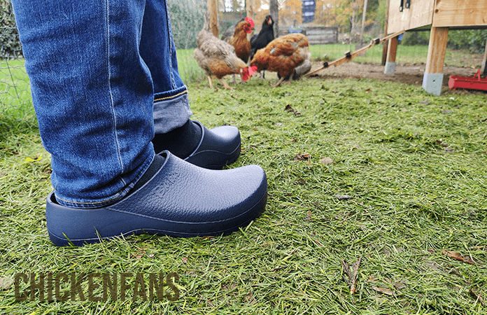 birkenstock super-birki mule for the chicken coop