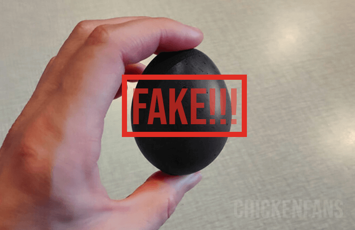Illustration on how black chicken eggs do not exist. 