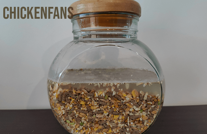 a jar with chicken feed filled with water ready for fermenting