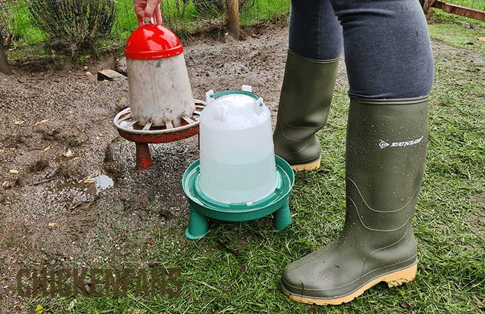 wearing boots to clean out the coop and run