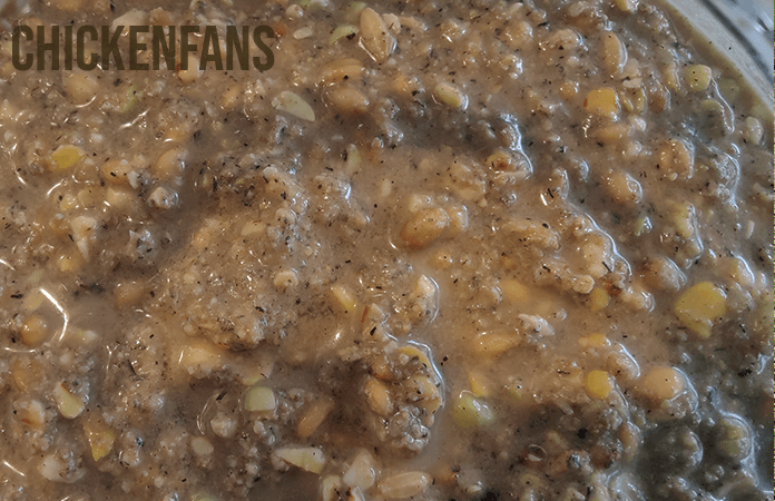 A close up of fermenting chicken feed