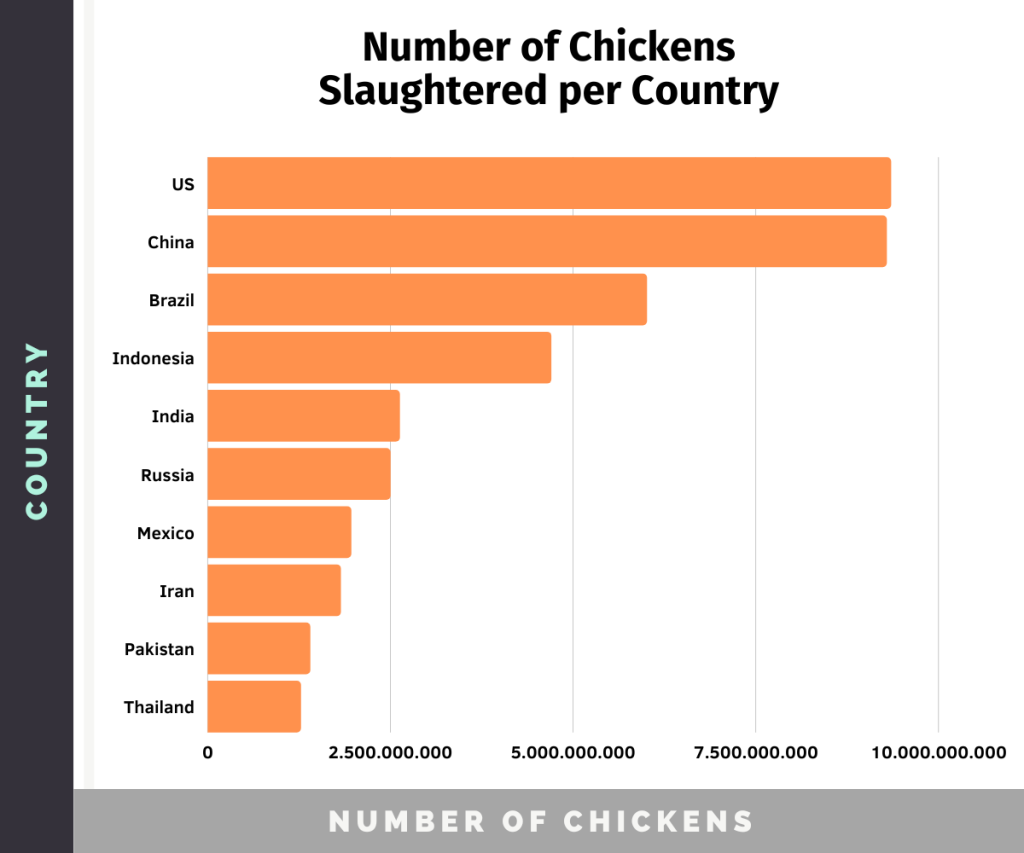Number of chickens slaughtered per country every year, with US and China on top