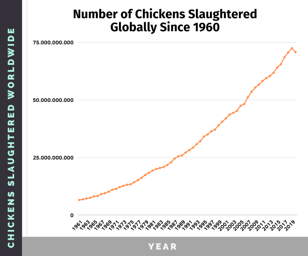 Evolution of the number of chickens slaughtered each year since 1960