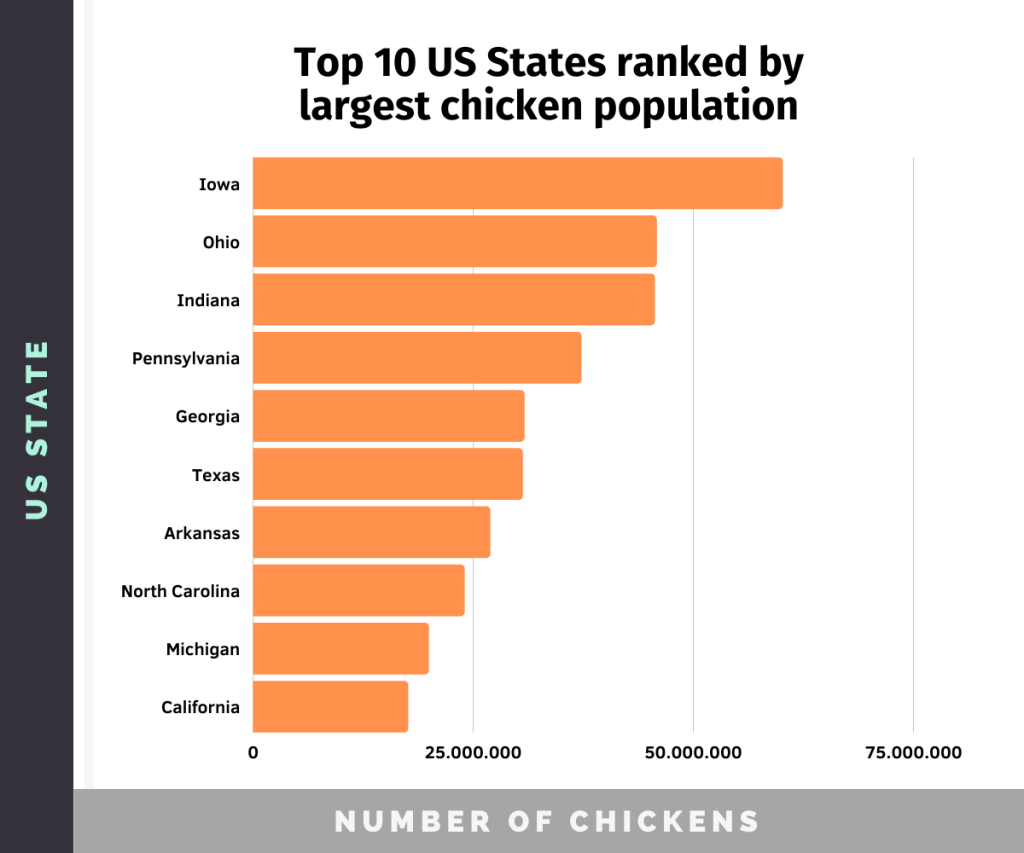 Graph of the top 10 US states ranked by largest chicken population, with Iowa, Ohio and Indiana on top