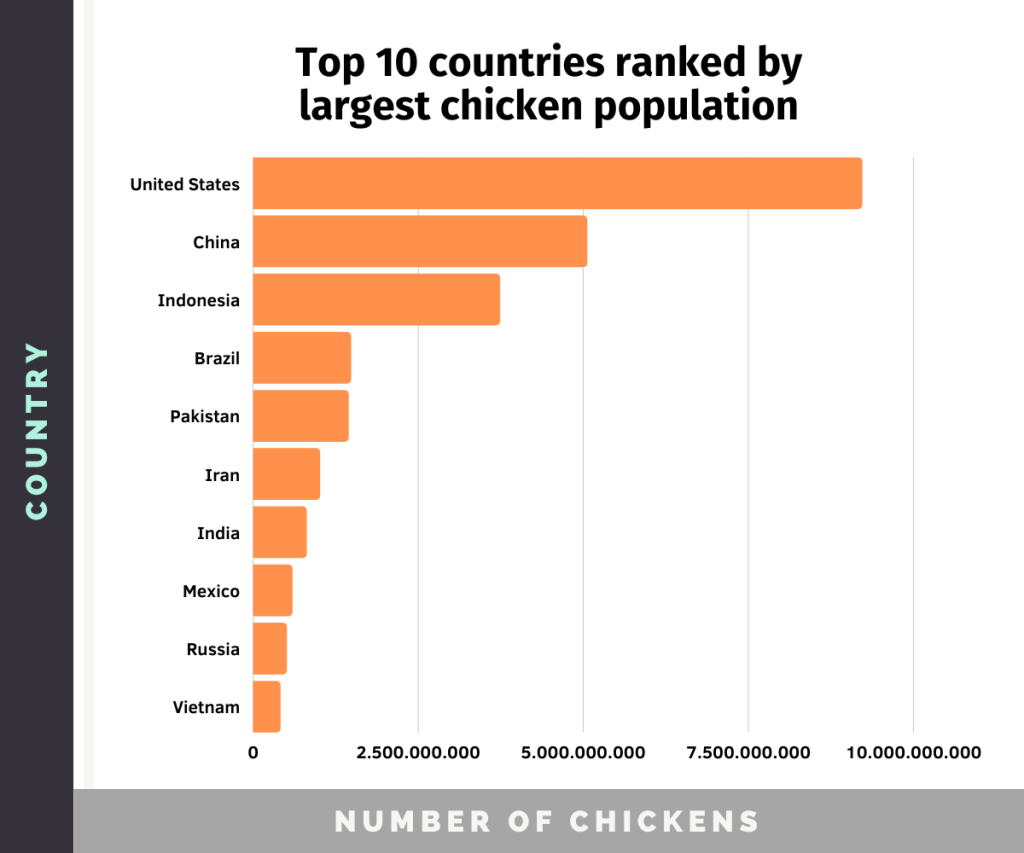 Graph of the top 10 countries ranked by largest chicken population, with US and China on top