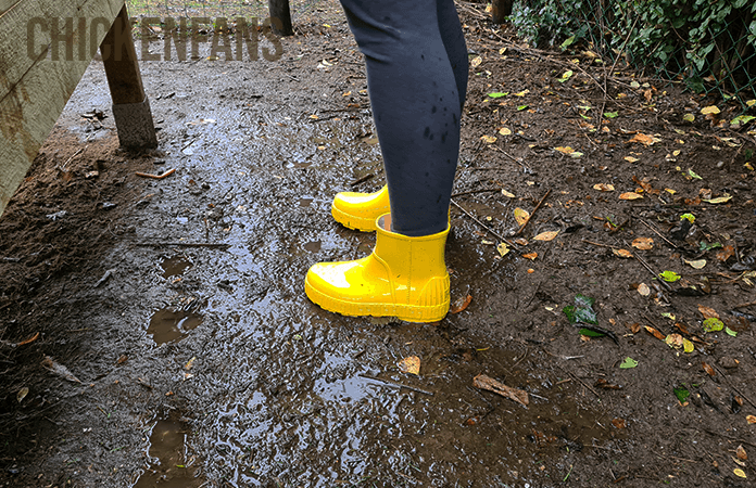 ugg rain boot