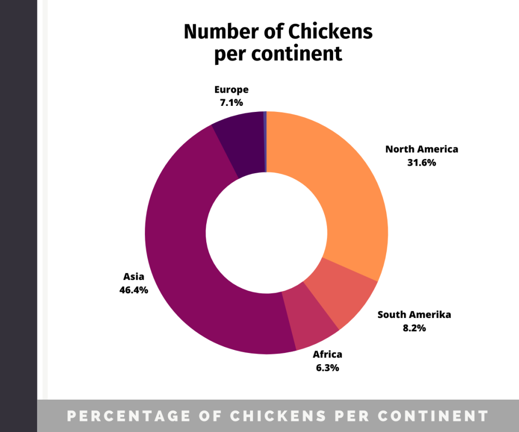 Graph of the percentage of chickens per continent in the world, with Asia taking 46 percent of the pie and North America 31.6 percent