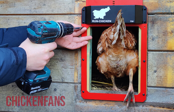 Installation of the run chicken coop door