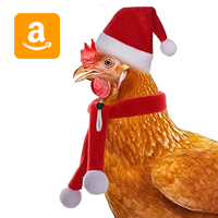 Chicken Christmas Hat