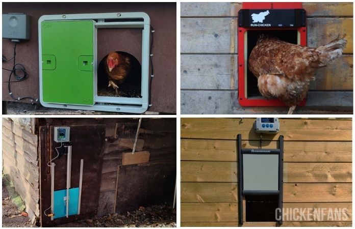 Best Automatic Chicken Coop Doors: Omlet, Run Chicken T50, Vevor, ChickenGuard