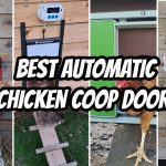 Best Automatic Chicken Coop Doors: Omlet, Run Chicken T50, Vevor, ChickenGuard