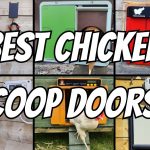 best chicken coop doors