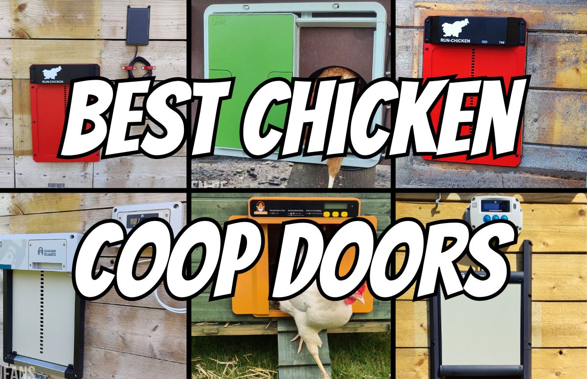 https://www.chickenfans.com/wp-content/uploads/2023/01/beste-chicken-coop-door-new.jpg