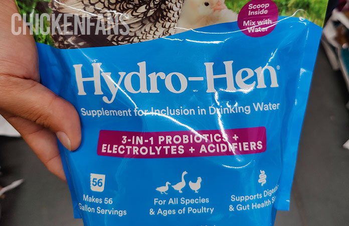 man holding hydro-hen, a probiotics for chickens