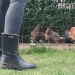 a person putting on boots to enter the chicken coop