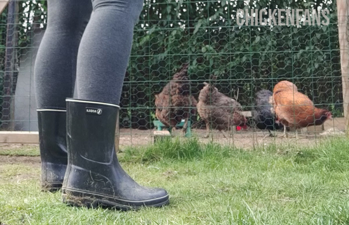 a person putting on boots to enter the chicken coop