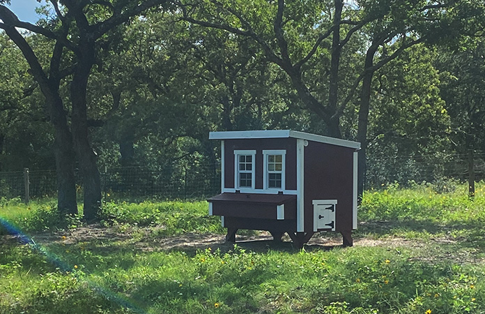 an overez chicken coop overview