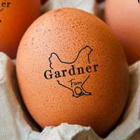Custom Egg Stamp