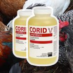 Corid for chickens