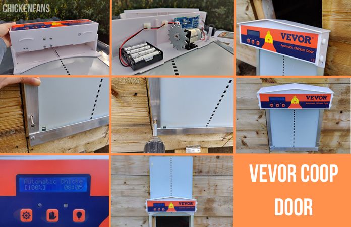 the assembly proces of the vevor coop door