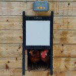 two chickens inside a coop with a happy henhouse coop door