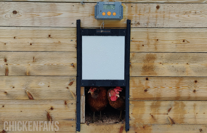 The Best Chicken Coop and Accessories of 2024