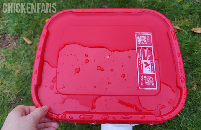 water on the lid of the feeder