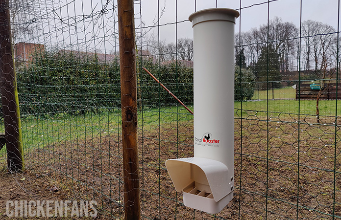 a royal rooster chicken feeder hanging on a mesh wire chicken run