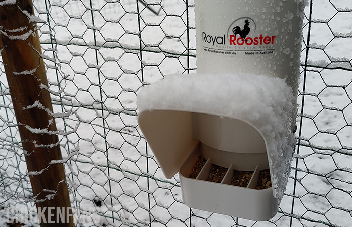 a royal rooster feeder covered in snow with the feed still dry