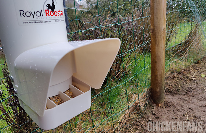 the rain cover of the royal rooster feeder protects the feed from getting wet