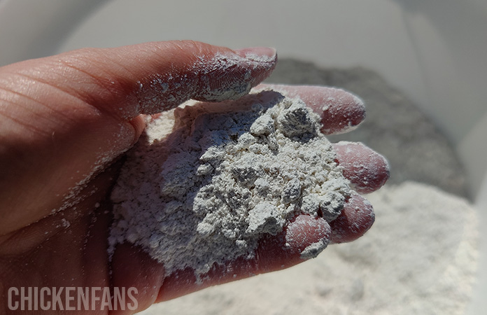 a hand holding diatomaceous earth