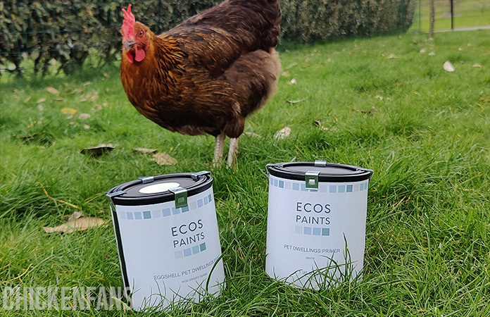 ecos paint is considered the most animal friendly chicken coop paint