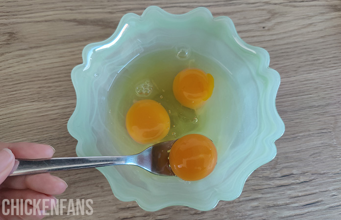 eggs in a bowl before dehydrating
