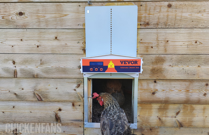 The vevor automatic coop door, voted best affortable alternative in our best chicken coop list