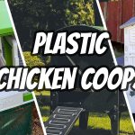 plastic chicken coops