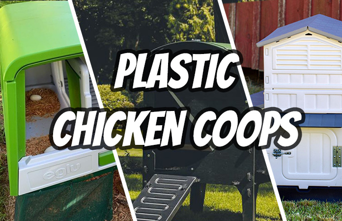 plastic chicken coops
