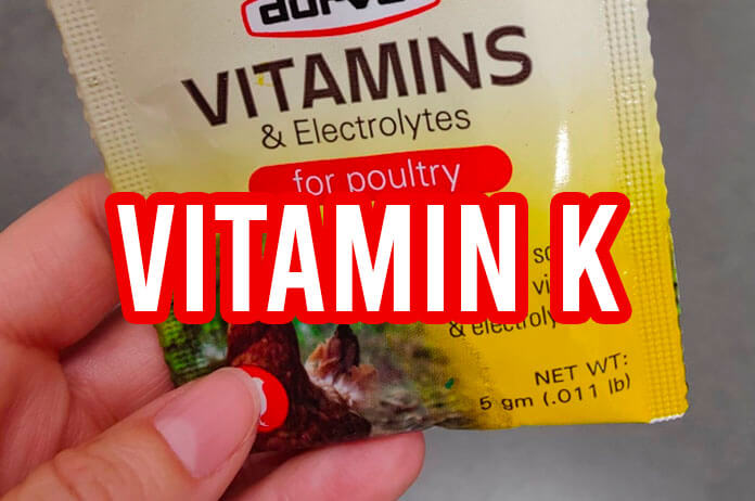 vitamin k for chickens and poultry