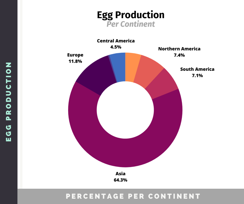 Chart with the egg production distribution per continent in the world, showing a 64% egg contribution of Asia