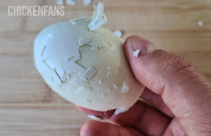a badly peeled fresh egg