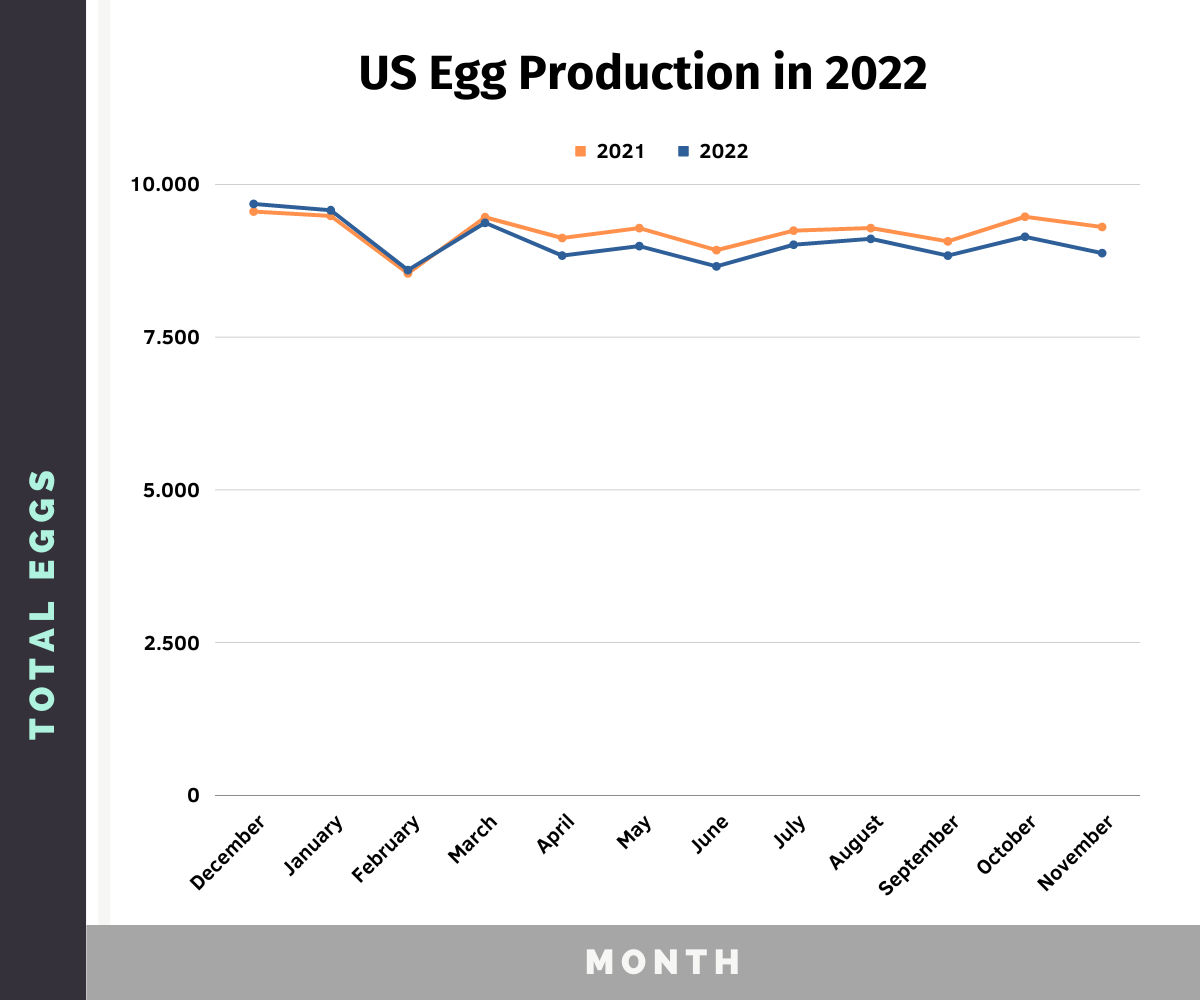 Poultry Industry Statistics (2023) Meat & Egg Production Chicken Fans