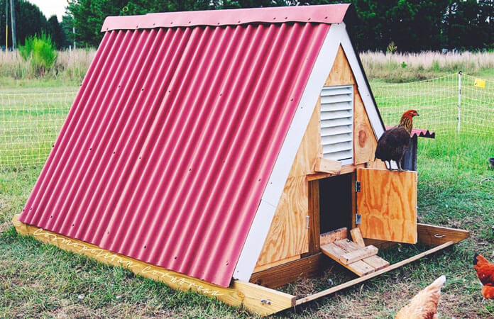 chicken coop sled plan