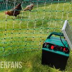 the rentacoop electric fencing on solar power