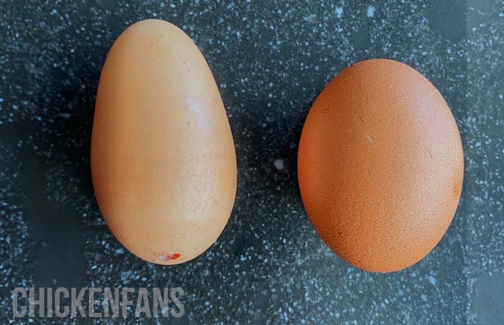 an abnormal shaped egg next to a normal egg
