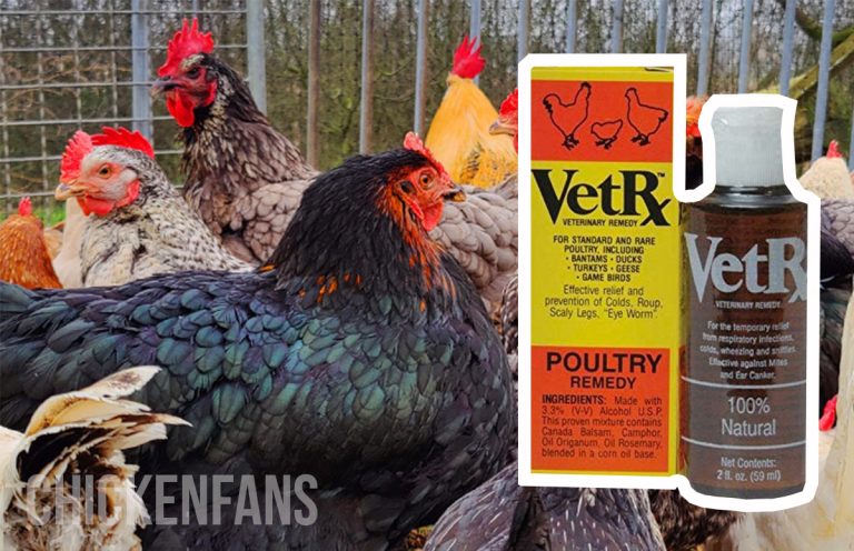 VetRX Poultry Aid for Chickens | Chicken Fans