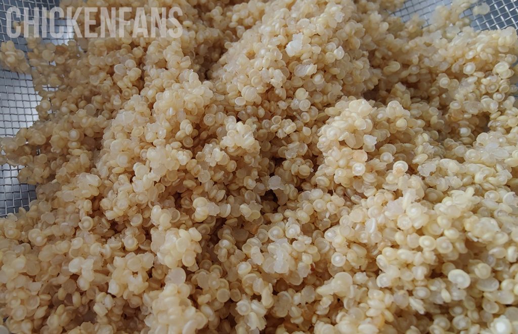 cooked quinoa