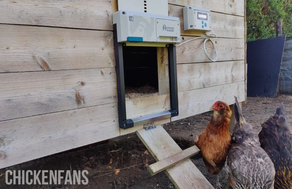 Some chickens next to the chickenguard all in one automatic coop door